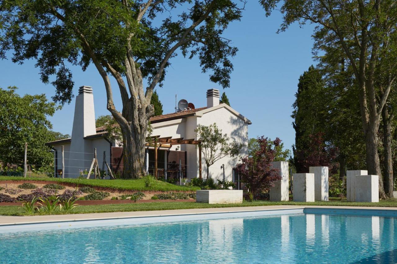 Grandono Agriturismo In Maremma Scansano Eksteriør billede